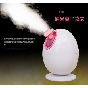 新款鸡蛋离子蒸脸器/喷雾仪 美容仪 补水仪蒸脸仪